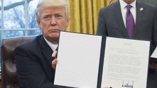 Executive orders: one thing you need to know Net Worth