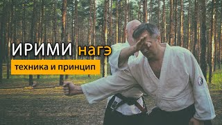 Подробное Описание Техники Ирими Нагэ В #Айкидо