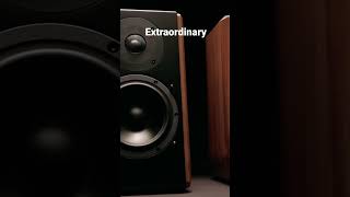 You know in your hearts when it is something; the #S1000DB #speakers #productivity #music #magic