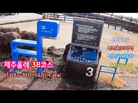 신산환해장성