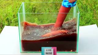 Experiment Fish Vs 1000 Mentos Vs Coca Cola Under Water