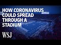 How Coronavirus Could Spread Through a Stadium | WSJ