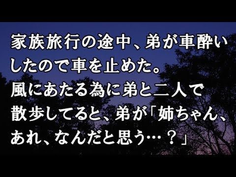 【修羅場　洒落怖】家族旅行の途中、弟が車酔いしたので車を止めた。風にあたる為に弟と二人で散歩してると、弟が「姉ちゃん、あれ、なんだと思う…？」【修羅場・洒落怖のぞき見チャンネル】