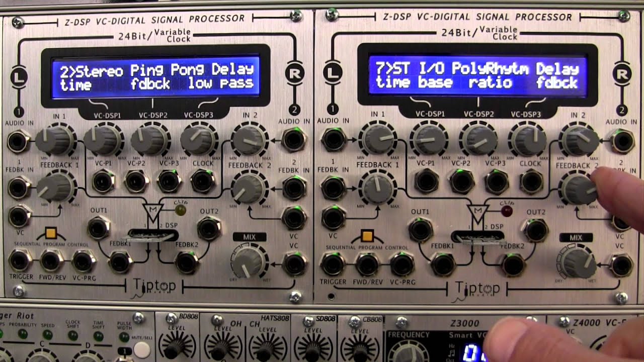 Modular Wild Presents Profile- TipTop Audio ZDSP- VC Digital Signal Processor