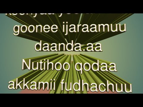 Tokkummaan Biiyyaa Keenyaa Yoo Akkaam Gone Cimuu Danda A Nutii Qodaa Akkamii Fudhachuu Qabnaa