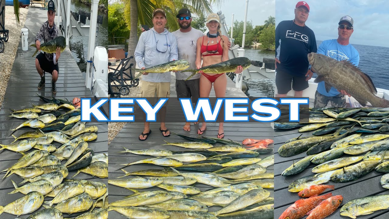 FISHING KEY WEST(mahimahi) YouTube
