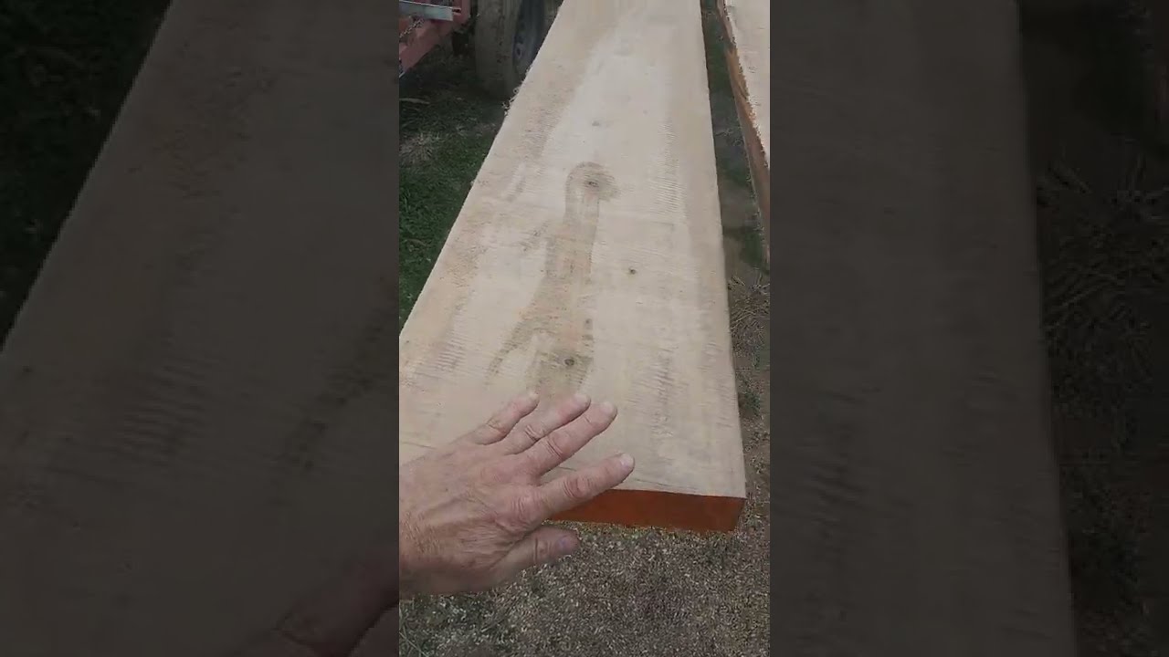 Woodmizer LT28 Pretty Darn Cool Christine