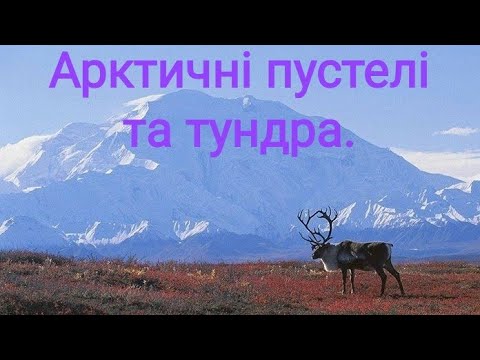 Рослинний і тваринний світ Євразії. Ч. 1 Арктичні пустелі та тундра. Природознавство четвертий клас.