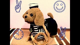 Развивающие Игрушки || Toys || Interactive Toys Dog | Интерактивная Собака | Интерактивный Щенок Развивающие Игрушки || Toys || Interactive Toys Dog | Интерактивная Собака | Интерактивный Щенок