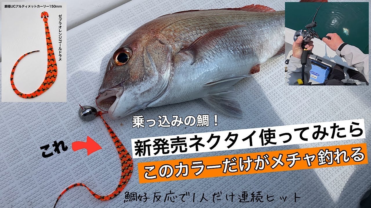 【タイラバ】乗っ込み真鯛が好反応！新発売ネクタイ、なぜかこの色だけ釣れる!?