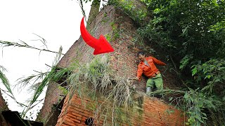 Clean up the abandoned house on high, overgrown grass and trees at dangerous heights l Clean Up HT