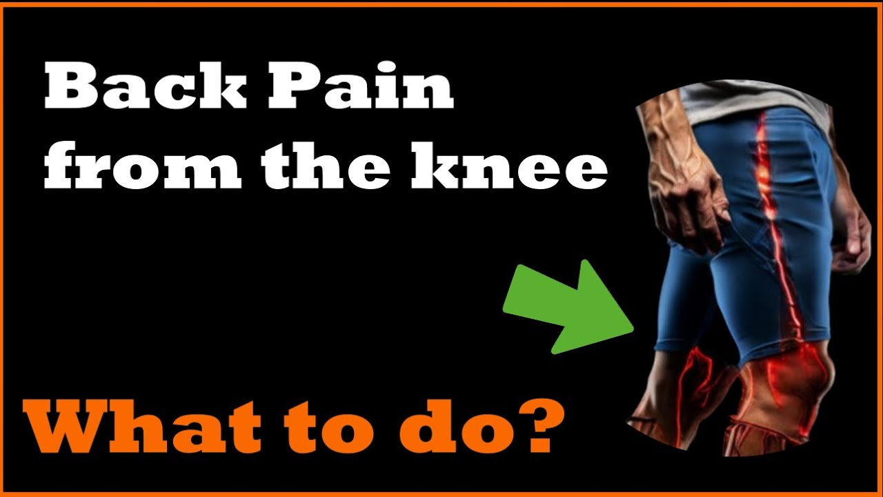 Pain Behind the Knee: What you need to know to feel better - YouTube