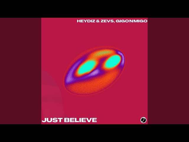 HEYDIZ & ZEVS, Gigo'n'Migo - Just Believe