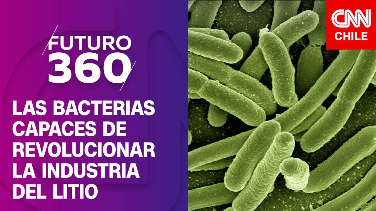 Microbios del desierto: Los superhéroes capaces de revolucionar la  industria del litio | Futuro 360