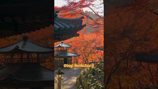 Otagi Nenbutsu-ji Temple in Kyoto during Fall Foliage autumn