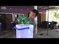 Masak - masak persiapan acara persedekahan resepsi pernikahan Vera & Eko. Ds.Patra Tani.