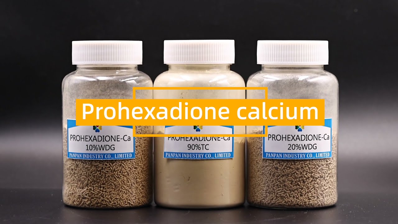 Plant Growth Retardants Hormones ProhexadioneCalcium 10WDG YouTube