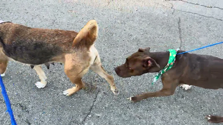 A2049825 Pamela and A2046473 Hollie temp test