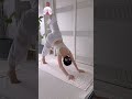 Full Body Yoga Flow for Flexibility & Core Strength