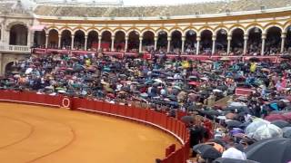 Plaza de la Maestranza 2017