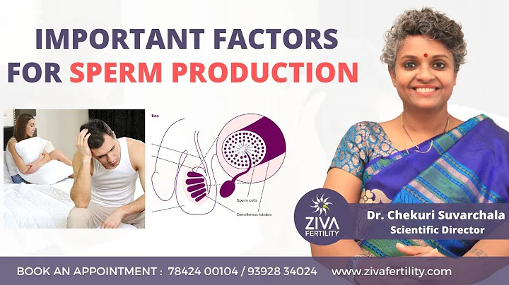 Important Factors For Sperm Production || Male Infertility || Dr Chekuri Suvarchala | ZIVA Fertility