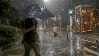 Peace in the Pouring Rain. Heavy Rain Walk. Relaxing Sound for Sleep Meditation. White Noise.