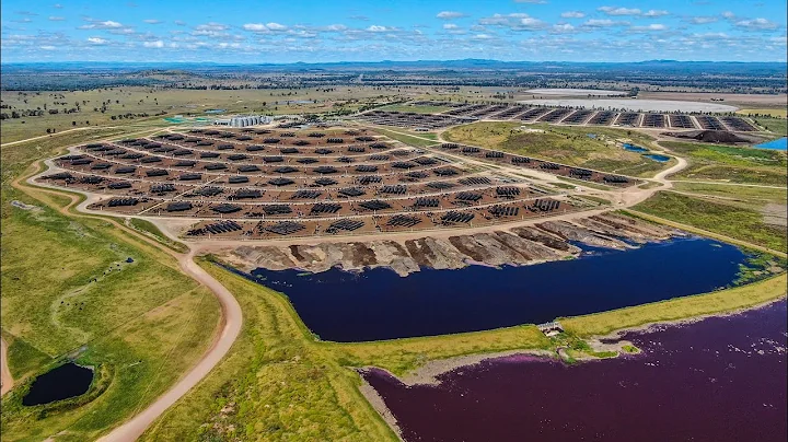 Queensland's Whyalla Feedlot