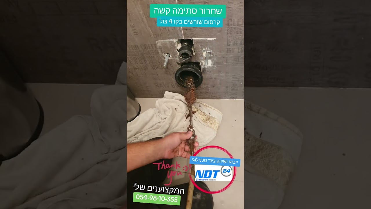 שורשים עבים בתוך צינור הביוב, כרסום אחרי פירוק האסלה, סרטון של המקצוענים שלי
