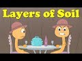 Layers of Soil for Kids | #aumsum #kids #education #science #learn