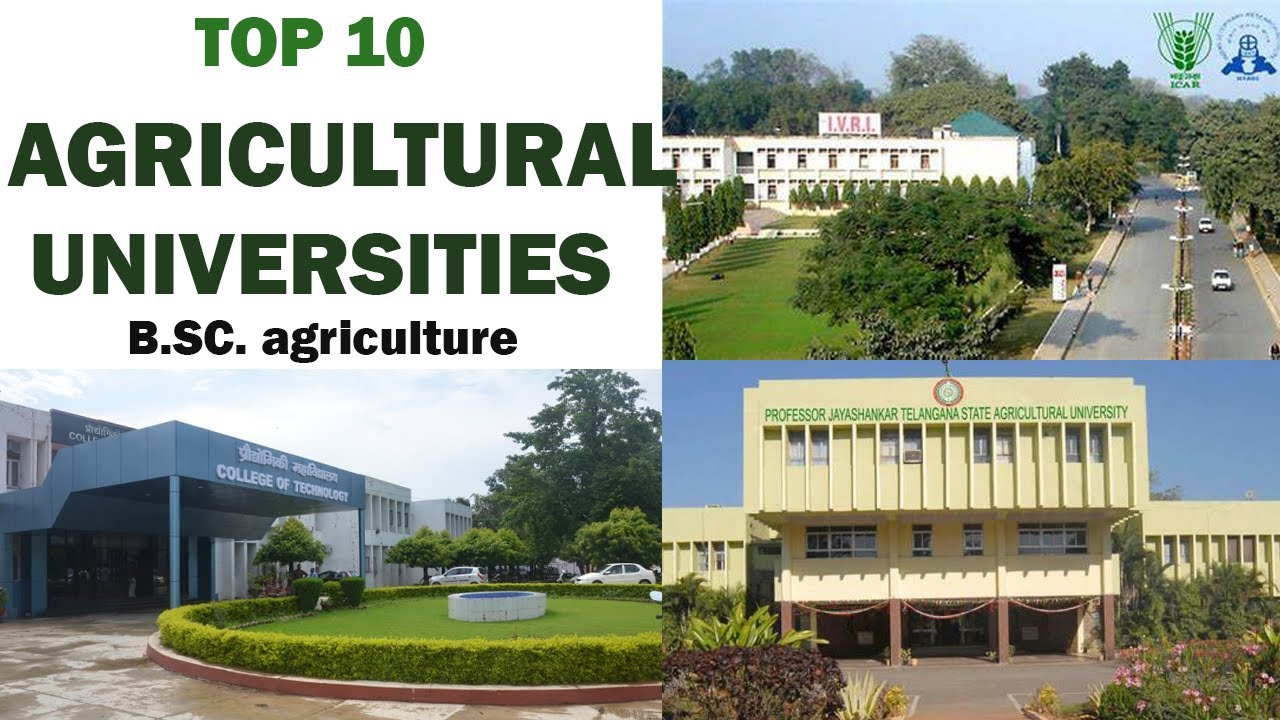 phd in agriculture colleges in india