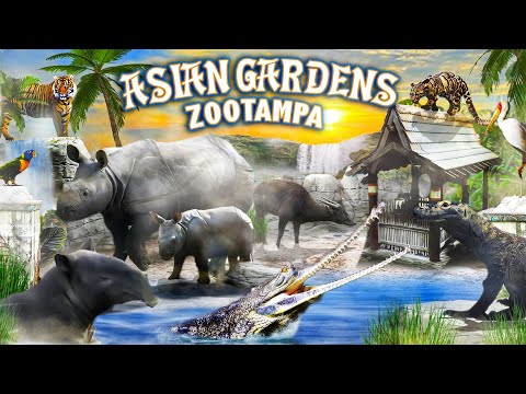 Zoo Tours: Asian Gardens | ZooTampa at Lowry Park (1988)