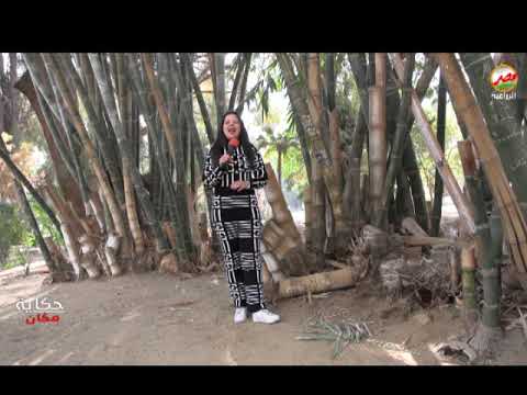 حكاية مكان حديقة الأورمان 