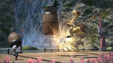 FFXIV A Realm Reborn Chocobo Raising Quick look/Guide Patch 2.3