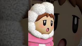 Ice Climber Nana 3