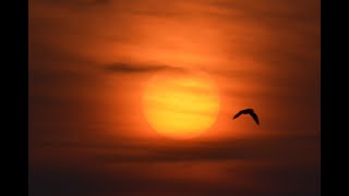 Sunset on a clear sky!