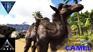 Brand new very own Camel! New Ark Super Modded Adventure!   Ark Survival Evolved E03 screenshot 4