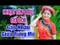 Gặp Nhau Giữa Rừng Mơ - Nhạc Sống Tây Bắc Có Lời Hay Nhất - Nhạc Hay Vang Vọng Khắp Núi Rừng Tây Bắc