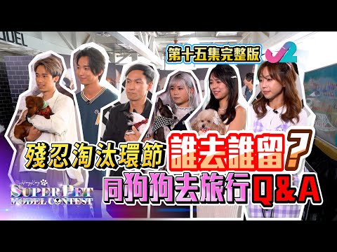 【足本版Full Version EP15｜超級毛特兒大賽 Hong Kong Super Pet Model Contest】（中英文字幕）(With Eng Subtitles)