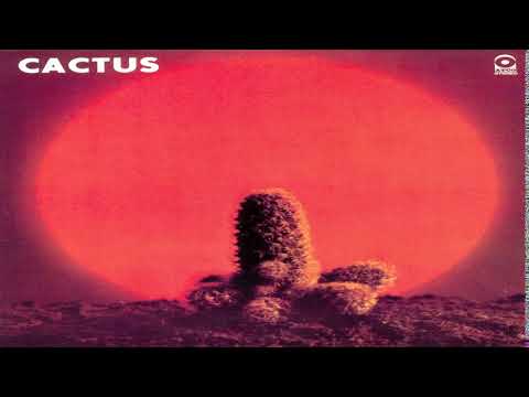 Video: Cactus Solscald Treatment – Hva er tegn på Cactus Sunscald-sykdom