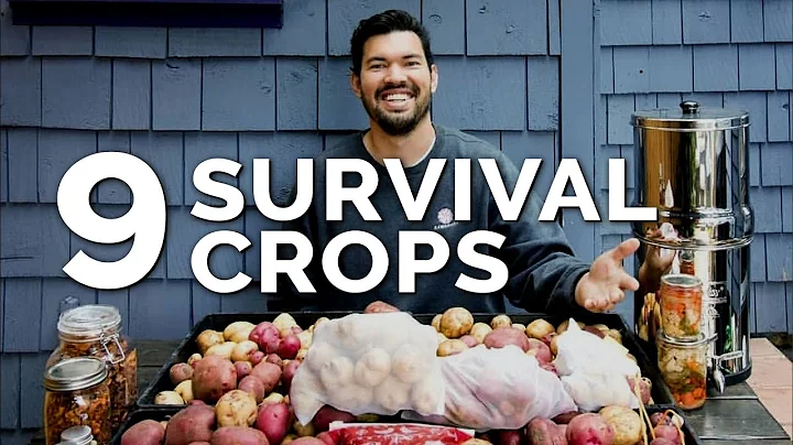 9 Survival Gardening Crops to Grow in a Post Apocalyptic World - DayDayNews