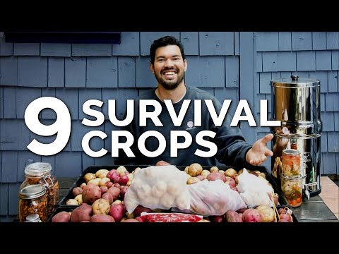 Video: What Is A Survival Garden - Learn About Family Survival Gardens