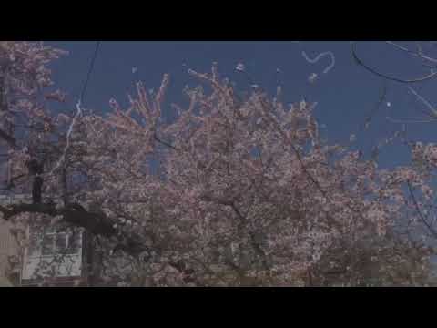 IDHAR ZINDAGI KA JANAZA UTHEGA | SLOWED + REVERB | Heart touching Song  | Sad Song | Attaullah Khan