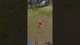 Легинсы В Rust/Раст  #Shorts #Short #Rustgame #Yoka