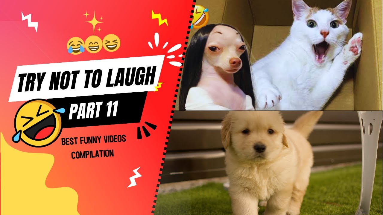TRY NOT TO LAUGH😛 A collection of funny moments 2024 | Part 11 😝 - YouTube