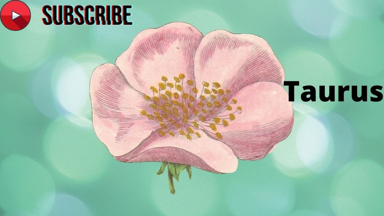 Taurus weekly messages March 1-7, 2020 You got the formula, its all about your pentacles$$$$
