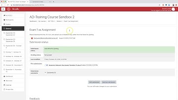 Student assignment feedback in Moodle
