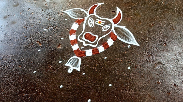 Maatu Pongal kolam|5*3 sankranti gangireddu muggulu|Basavanna muggulu|Pongal Beautiful rangoli