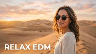 【Chill EDM】Soft Electronic Beats 🎧 Relaxing Lo-Fi Vibes | Study / Focus / Calm