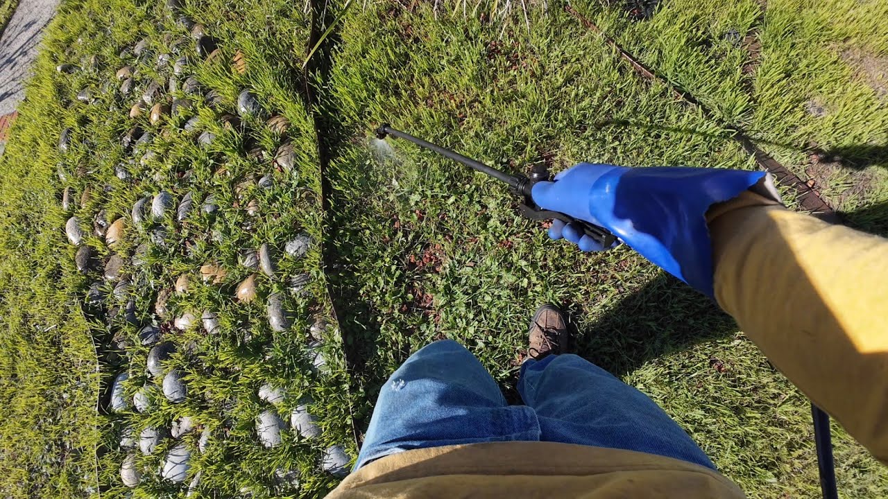 Stihl SG 20 review and spray session