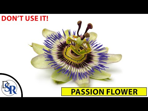 Passion Flower - Don't use it until you watch this!